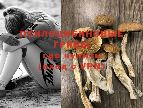 крисы Михайловка