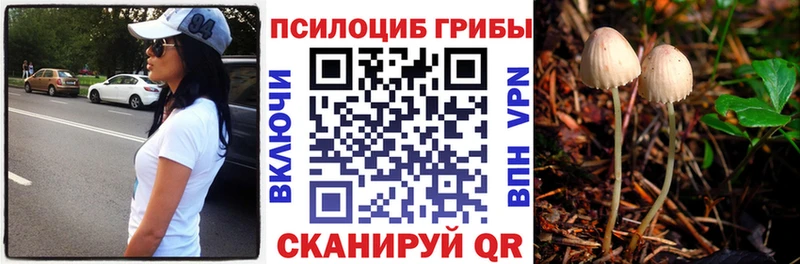 Галлюциногенные грибы прущие грибы  дарк нет клад  Нефтекамск 